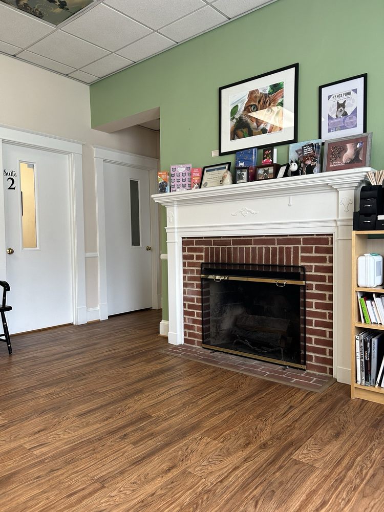 CAT HOSPITAL AT TOWSON Updated August 2024 14 Photos & 23 Reviews