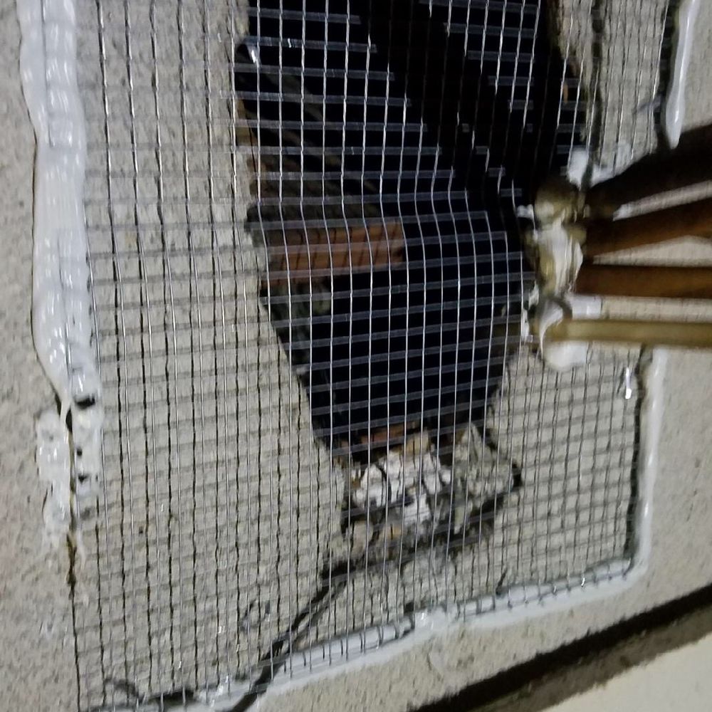 Centerpoint Pest Management - After - Pest Control Near Me Centerpoint Pest Management - After - Pest Control Near Me