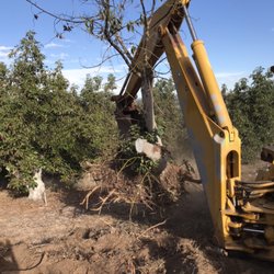 Aaa Contreras Handyman - Talented in a multitude of ways to trim and remove trees