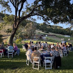 Alamitos Vineyards