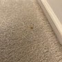 Photo of Quality Carpet Care