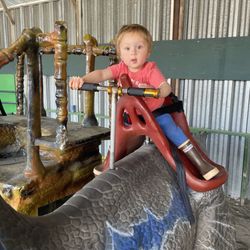 Jurassic Empire - Riding the dinosaur! Options for dinosaurs that make noise and move mechanically or ones that just rock for kids that are scared.