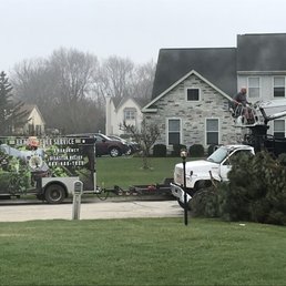 Our tree was cut down WITHOUT our permission!