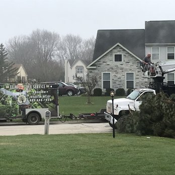 Brady's Tree Service - Our tree was cut down WITHOUT our permission! - Tree Services Near Me