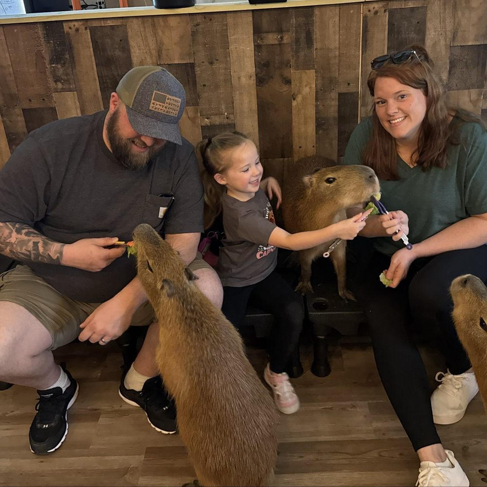 The Capybara Cafe - Themed Cafes Near Me - St. Augustine, Florida The Capybara Cafe - Themed Cafes Near Me - St. Augustine, Florida