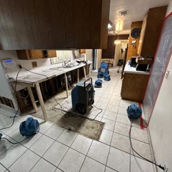 Salajean Construction & Services Co - Water damage/ restoration