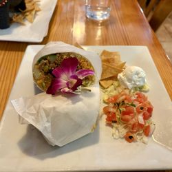Mr Cactus Authentic Mexican Grill - Todo burrito