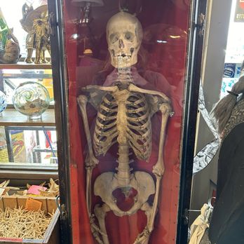 Marsh's Free Museum - He or she was about 5'5 - Antiques Near Me - Long Beach, Washington
