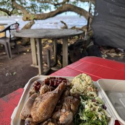 Combo plate! Chicken & Ribs