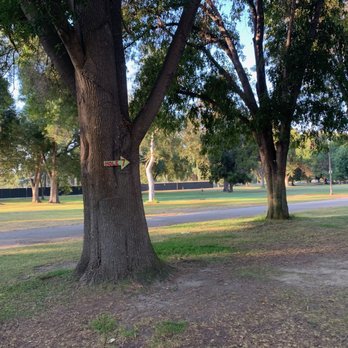 El Dorado Park Disc Golf Course - wish there were more of these signs pointing to holes. - Parks Near Me - Long Beach, California