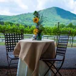 Sharp Mountain Vineyards - Overlooking the beautiful Sharp Mountain