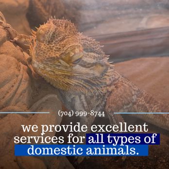Charlotte Metro Pet Group - Yes, we love bearded dragons! - Pet Sitting Near Me - Monroe, North Carolina Charlotte Metro Pet Group - Yes, we love bearded dragons! - Pet Sitting Near Me - Monroe, North Carolina