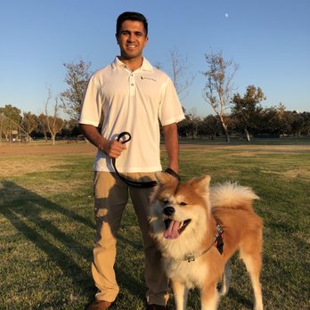 Golan Dogs - Golan and Kazuto - Pet Training Near Me - San diego, California Golan Dogs - Golan and Kazuto - Pet Training Near Me - San diego, California