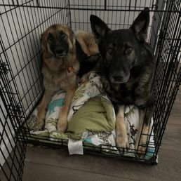They loved it there!