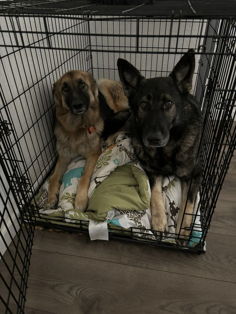 Happy Paws Kennels - pet boarding facility in Dixon, CA