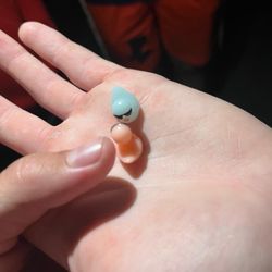 Speedway - The geocache ducks :)