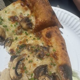 Mushroom