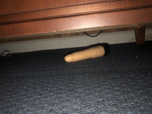 Watergate Motor Inn by null