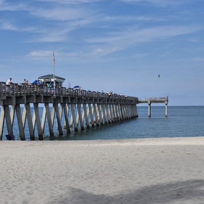 Venice Beach by null
