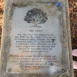 Info on the tree Info on the tree