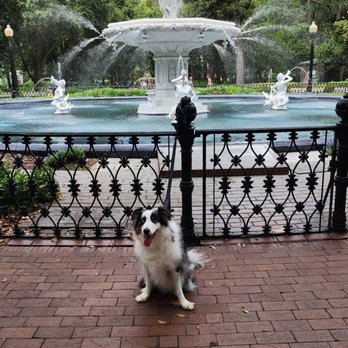 Forsyth Park - Parks Near Me - Savannah, Georgia Forsyth Park - Parks Near Me - Savannah, Georgia