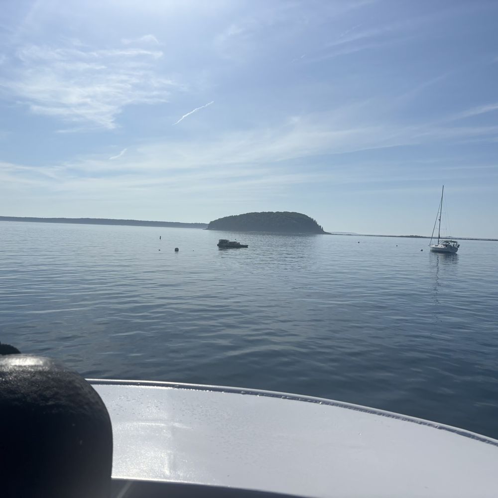 Bar Harbor Whale Watch - Pretty views - Whale Watching Tours Near Me - Bar Harbor, Maine