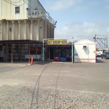 Down the Bayou Shrimp Tours - Seafood Markets Near Me - Dulac, Louisiana