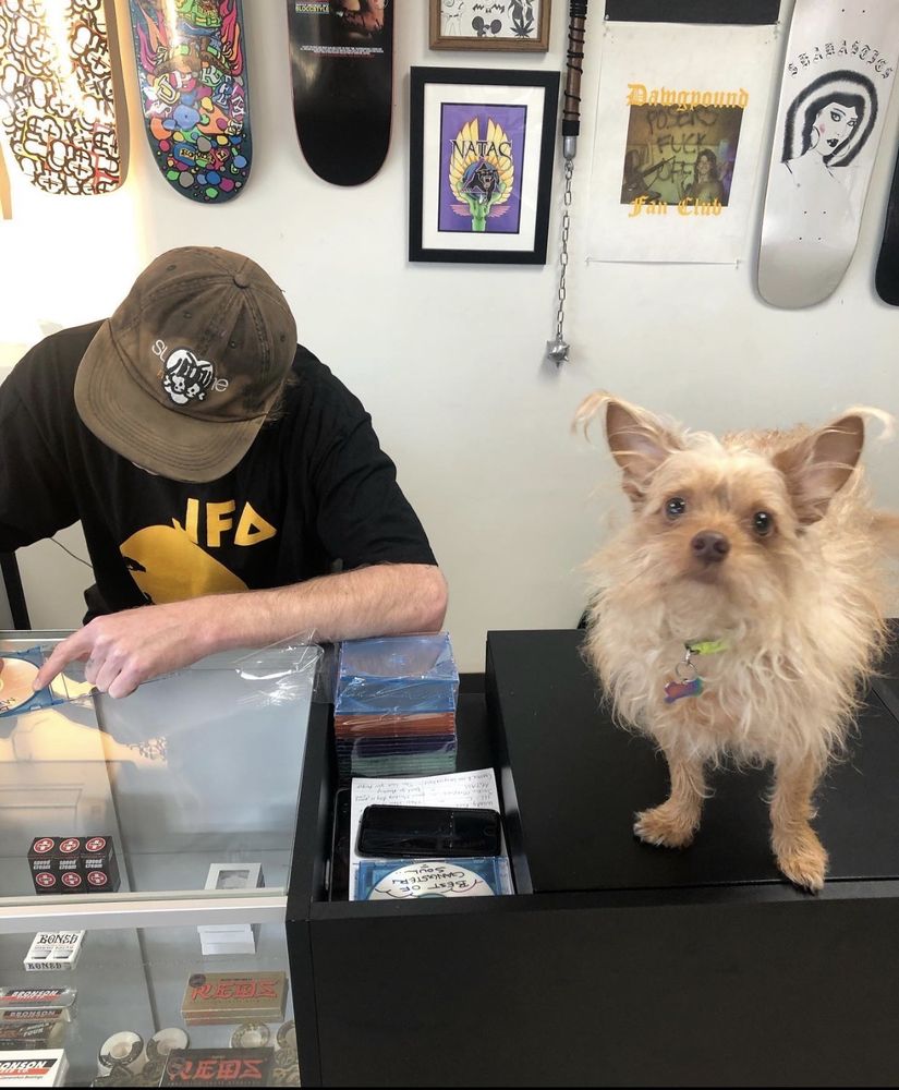 DAWGPOUND Updated April 2024 2100 Del Paso Blvd