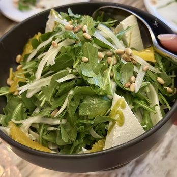Thasos - Fennel arugula salad was delish - Greek Near Me - Fort Lauderdale, Florida Thasos - Fennel arugula salad was delish - Greek Near Me - Fort Lauderdale, Florida