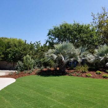 West Coast Turf - Bandera Bermuda - Landscaping Near Me - Scottsdale, Arizona West Coast Turf - Bandera Bermuda - Landscaping Near Me - Scottsdale, Arizona