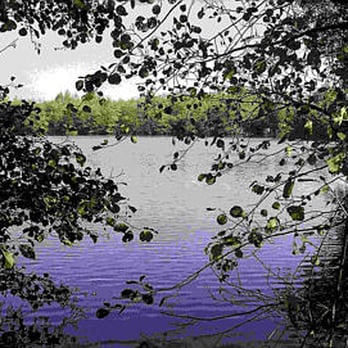 Boberger See - Boberger See in der Boberger Moorlandschaft - Lakes Near Me - Hamburg, HH Boberger See - Boberger See in der Boberger Moorlandschaft - Lakes Near Me - Hamburg, HH