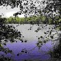Photo of Boberger See