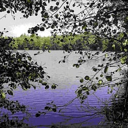 Boberger See - Boberger See in der Boberger Moorlandschaft
