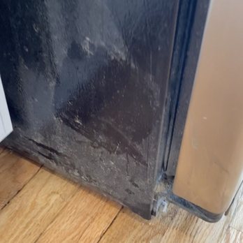 Cindy’s Maid Green Cleaning Services - Home Cleaning Near Me