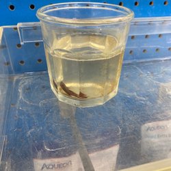 Pet Supermarket - Look at this!