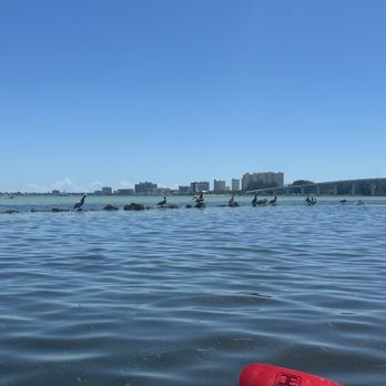 Sea Glass Kayaking - Rafting/Kayaking Near Me - Clearwater, Florida Sea Glass Kayaking - Rafting/Kayaking Near Me - Clearwater, Florida