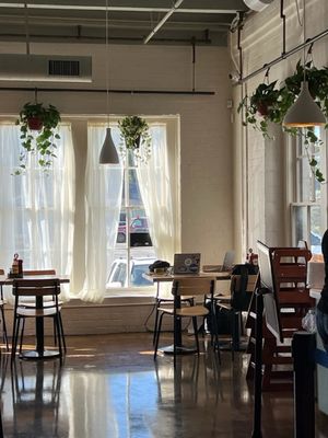 Dandelion Cafe Heights by null