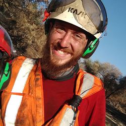 Down to Earth Tree Care
