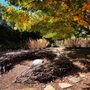Knoxville Botanical Garden