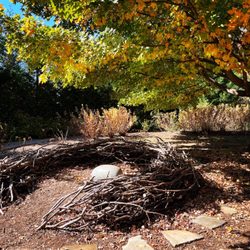 Knoxville Botanical Garden - One of my favorite spots in the gardens.