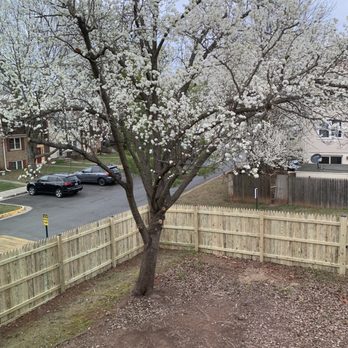 DJ Fence - New Fence, love how it turned out! - Fences & Gates Near Me DJ Fence - New Fence, love how it turned out! - Fences & Gates Near Me