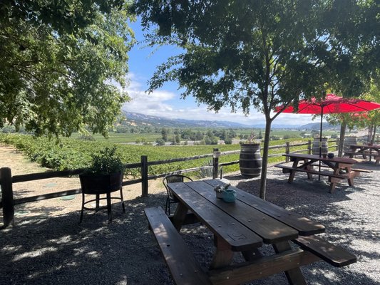 J. Rickards Winery by null