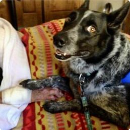 Serenity House hospice therapy Serenity House hospice therapy