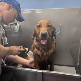 Bruce at the Paw spa Bruce at the Paw spa