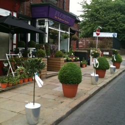 The Perfumed Garden - What a choice of outdoor plants