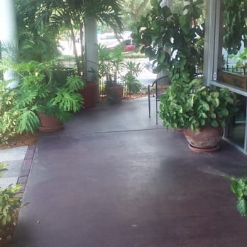 Athena Roasted Chicken - Nice plants with outdoor setting - Greek Near Me - Maitland, Florida Athena Roasted Chicken - Nice plants with outdoor setting - Greek Near Me - Maitland, Florida