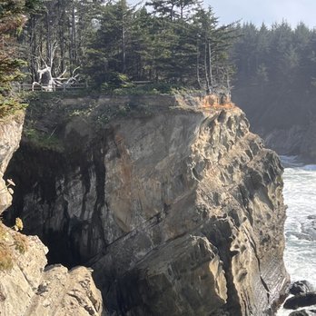 Shore Acres State Park - Ocean views - Parks Near Me Shore Acres State Park - Ocean views - Parks Near Me