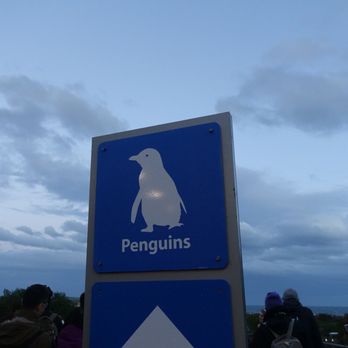 Penguin Parade - Hotels Near Me - Summerlands, VIC