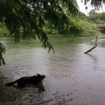 Red Bud Dog Park - Dog Parks Near Me - Austin, Texas Red Bud Dog Park - Dog Parks Near Me - Austin, Texas