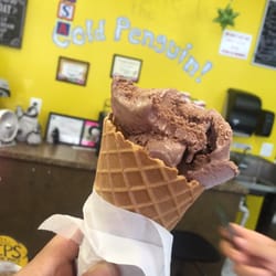 Cold Penguin Ice Cream - Award winning chocolate
